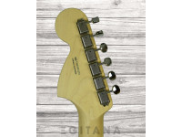 Fender American Perf Stratocaster RW Honey Burst